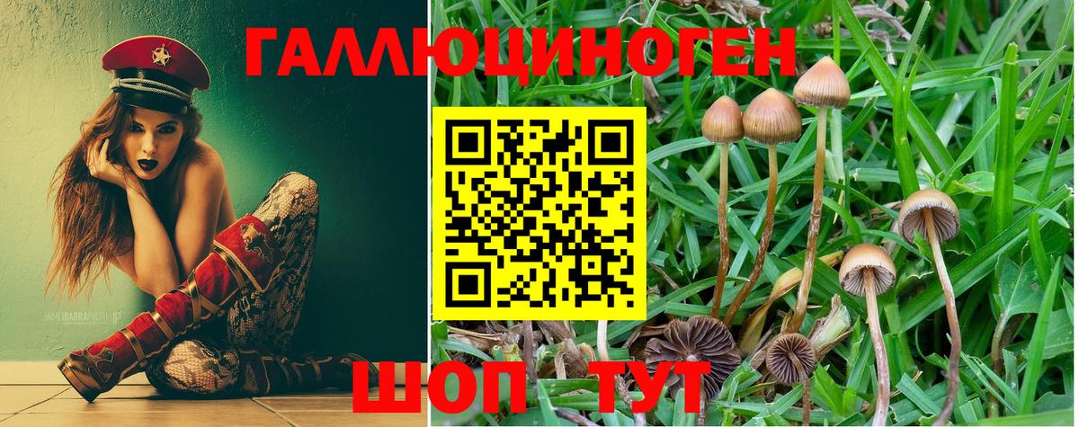 Владимир  Галлюциногенные грибы мицелий  Галлюциногенные грибы MAGIC MUSHROOMS  Вход с VPN 