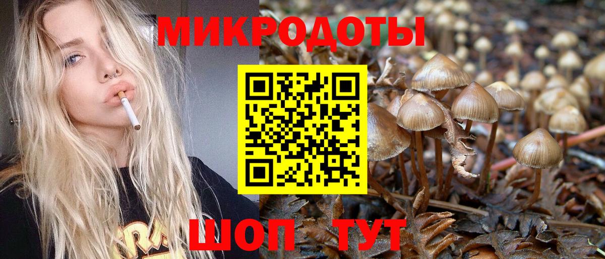 Галлюциногенные грибы MAGIC MUSHROOMS Владимир
