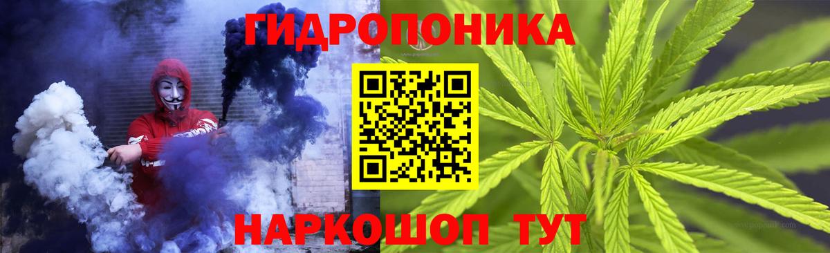 Каннабис SATIVA & INDICA  Вход с VPN  Владимир  Каннабис Bruce Banner 